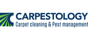 Stanley steemer of atlanta proudly provides professional cleaning services in and around major areas of atlanta. Enzyme Wizard Carpet And Fabric Cleaner 5 Litre Carpestology