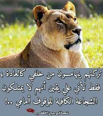 طول عمرها ورايا ومده ايدها لينا ديما نسيت الكلبه words qoutes arabic quotes