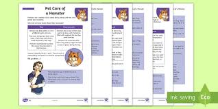 Jul 22, 2021 · hamster facts hamsters are distant cousins of rats and mice. Ks2 Pet Care Of A Hamster Differentiated Fact File