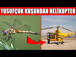 Biyomimikri Tasarimlarinda Dogadan Ilham Alinmis 10 Urun Youtube