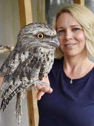 Injured wildlife influx sparks funding mission