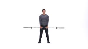 This is a good upper back strengthening protocol. Barbell Upright Row Exercise Videos Guides Bodybuilding Com