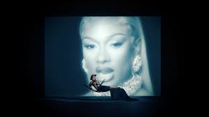 Megan Thee Stallion doesn't have to clear her name