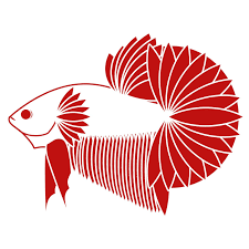 Pin Oleh Hồ Phung Lộc Di Jasir Ikan Cupang Hewan Seni
