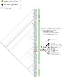 Image result for Triaspis macropteron
