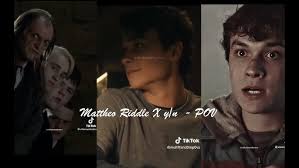 Lorenzo Berkshire AND Mattheo Riddle X Y/N -STORY (not mine)