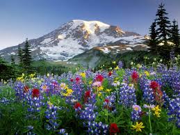 4 projects, in 105 queues. Rocky Mountain Spring Wallpapers Wallpaper Cave