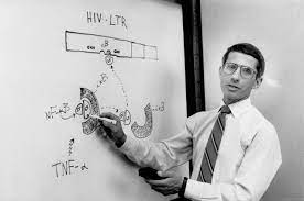 National institute of allergy and infectious diseases (niaid) and the chief medical advisor to the president. How Anthony Fauci Became America S Doctor The New Yorker