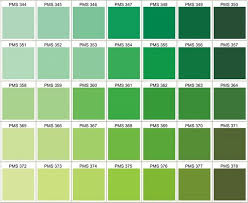 At Paradux It S Not Just About Wearing Paradux Media Group Color Swatch Green Green Colour Palette Color Swatches