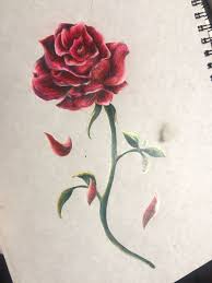 Beauty and the beast rose drawings. My Drawing Of A Red Rose Inspired From The Movie Beauty And The Beast Done In Prisma Pencils Ciararoee Rose Drawing Pencil Rose Drawing Maple Leaf Tattoo