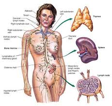What Lymphoma Awareness Really Means Lymphoma Awareness Lymphoma Cancer Lymphoma
