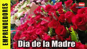 Descubre los ramos de flores para el día de la madre de interflora con envío a domicilio. Como Son Las Ventas De Rosas Para El Dia De La Madre En El Mercado De El Salvador Youtube