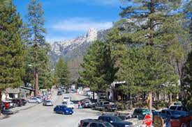 Husband And Wife Dead After Motorcycle Crash In Idyllwild Cactus Hugs