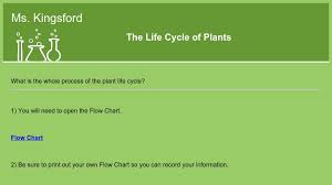 The Life Cycle Of Plants Curriki