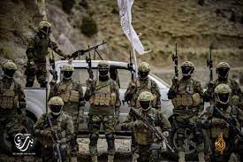 The badri 313 is reportedly the talibans special commando unit in afghanistan. Q4yosekdcjjx9m