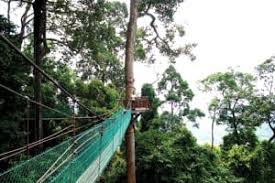 Taman bukit tawau adalah tempat yang paling tepat di sabah untuk wisata kunjungan anda dan keluarga. Tempat Menarik Di Tawau Sabah Yg Wajib Try