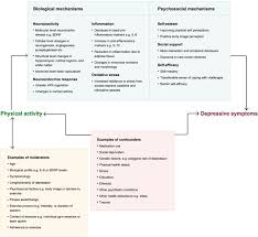 Check spelling or type a new query. Physical Activity And Depression Towards Understanding The Antidepressant Mechanisms Of Physical Activity Sciencedirect