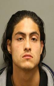 Galveston cops arrest chase suspect who stole truck, wine