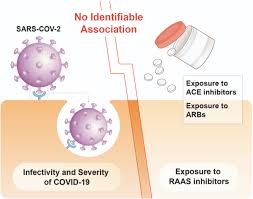Renin production in the kidneys. Association Between Renin Angiotensin Aldosterone System Inhibitors And Covid 19 Infection In South Korea Hypertension