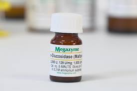 This enzyme is active in the duodenum, a section of the small intestine. Alpha Glucosidase Yeast Maltase Enzyme Megazyme