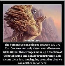 The Human Eye Can Only See Between 430 770thz Our Ears Can Only Detect Sound Between 20hz 20khz These Ranges Make Up A Frac Osho Life Lessons Learned In Life