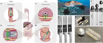 Cephalopod-inspired jetting devices for gastrointestinal drug delivery |  Nature