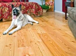 Schon Engineered Select 5 8 X7 Siberian Pine Clear Finish Engineered Heart Pine Solid Wood Flooring Engineered Flooring