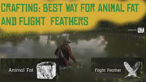 Rdr 2 Best Way To Get Animal Fat And Flight Feathers At Once Red Dead Redemption 2 Youtube