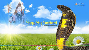 Nag panchami is finally here, so make a wish and pray with a smile, may lord grants you all that you wish, may each day be happy and worthwhile! Nag Panchami Wallpaper 2021 Hd Images Free Download