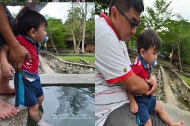 Ulu tamu hot spring is hotspot among the locals. Ulu Yam ä¸€æ—¥æ¸¸ è´è¶å…°èŠ±å›­world Of Phalaenopsis çƒ­æ°´æ¹– Hot Spring Hulu Tamu æ—ºè®°å'–å–±é±¼å¤´one Day Trip To Ulu Yam