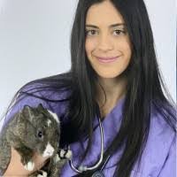 Stephanie Lasala's Instagram, Twitter & Facebook