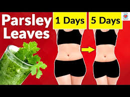 प रसल क स व स थ य ल भ Parsley Tea Kaise Banta Hai In 2020 Parsley Tea Home Remedies Parsley
