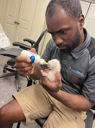 When we leave dad in charge of feedings 😅