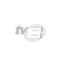During the selling process, it was mtv8 until on february 18, 2016 that change the name and its programming. Ytv Logo