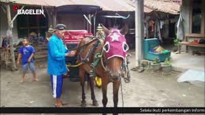 Di utiket.com anda dapat mencari dengan mudah dan menemukan harga tiket ka termurah untuk route kereta api di indonesia, seperti tiket kereta api surabaya ke yogyakarta. Unik Kampung Andong Kenalan Yogyakarta Tetap Eksis Di Tengah Kemajuan Jaman Youtube