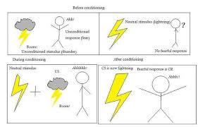 Great Image Of How Classical Conditioning Works Lcsw Study Psychoeducation School Psychologist