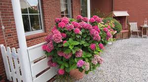 Wangerooge is one of the 32 frisian islands in the north sea located close to the coasts of the netherlands, germany and denmark. Ferienwohnungen Haus Wangerooge Juist Holidaycheck Niedersachsen Deutschland