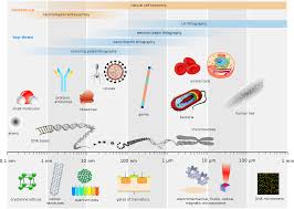 Maybe you would like to learn more about one of these? Cell Structure