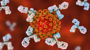 Shared health said wednesday a manitoba patient sent to ontario for care. More Than 60 New Coronavirus Cases In Manitoba On Thursday Ctv News