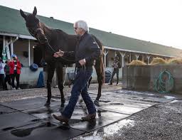 (reuters) — medina spirit stormed to victory in the kentucky derby on saturday to give trainer bob baffert had downplayed his little horse's chances heading into the race and was stunned to see the. 7zexhh2bcmqoxm