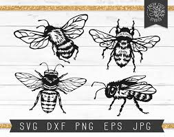 Pin On Bees