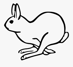 Work attentively with the wolf's fur. Rabits And Hares Monochrome Photography Carnivoran Easy Arctic Hare Drawing Free Transparent Clipart Clipartkey