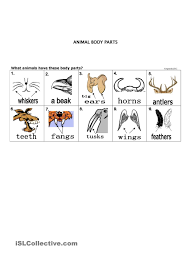 Pin On English Vocab