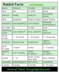 65 Expert Rabbit Classification Chart