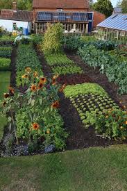 30 Wonderful Home Vegetable Garden Design Ideas In 2020 Home Vegetable Garden Design Home Vegetable Garden Vegetable Garden Design