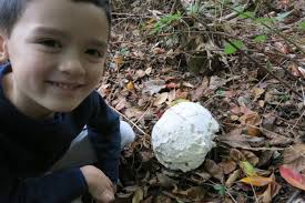 Mianus River State Park