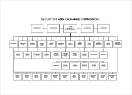 Sample Blank Organizational Chart 16 Documents In Pdf