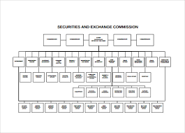 sample blank organizational chart 16 documents in pdf