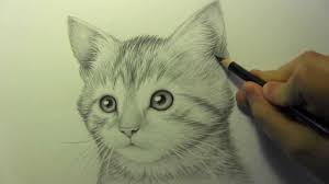 Kedi Cizimi Youtube
