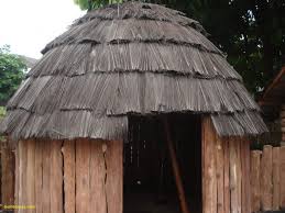 Wilayahnya berada di bagian paling timur indonesia, berbatasan langsung dengan papua. Rumah Adat Kariwari Papua Rumah Gambar Perang